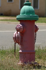 Fototapeta na wymiar pink & green fire hydrant