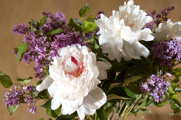 spring arrangment