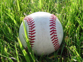 baseball close up