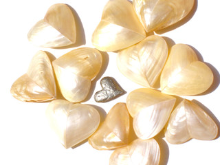 hearts of shell