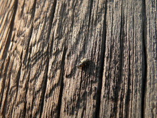 textures 9