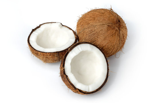 coconut still-life isolated