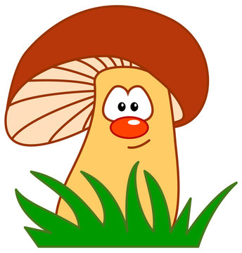 pilz