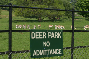 deer park