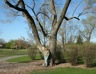 woman and tree