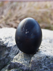 japan hakone black volcanic boiled egg