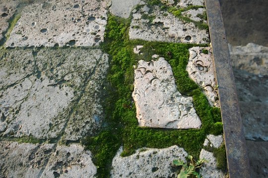stone and moss