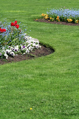 garden in spring