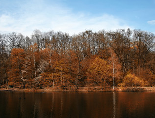 by the lake