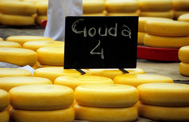 gouda 4 you