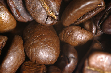 macro grain café