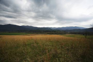 spring mountain meadow storm