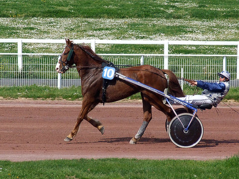 hippisme