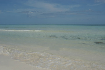 Fototapeta na wymiar beach view, grand bahamas islands