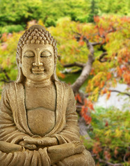buddha garden