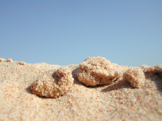 grain de sable