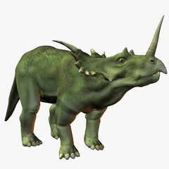 styracosaurus