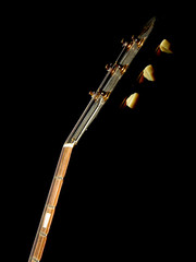 guitar neck