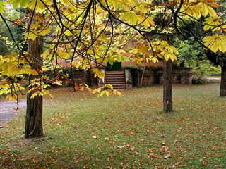 paisaje verde con arboles