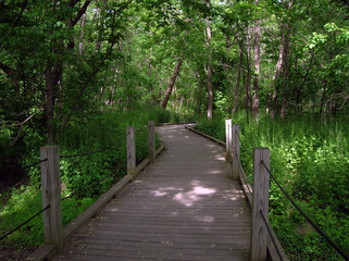wildwood lake sanctuary boardwalk