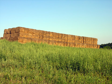 stacked hay bales 02