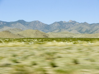 landscape in motion