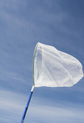 butterfly net