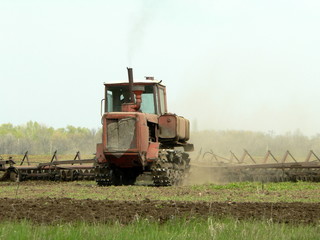 Obraz premium on field