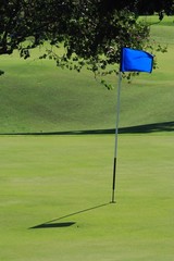Obraz premium golf field