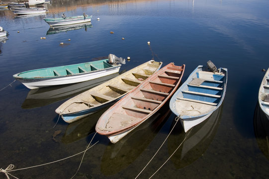 boats in harbor