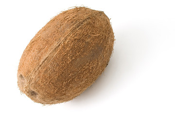 coconut on white