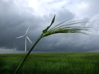 windkraftanlage