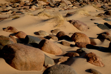sand beach with stones