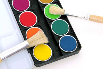 color 210550501
