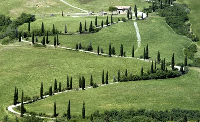 Gordijnen tuscan landscape © Stuart