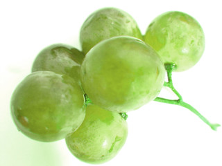 raisin vert 08452