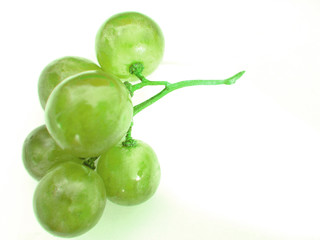 raisin vert
