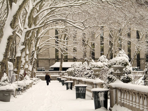 bryant park in winter