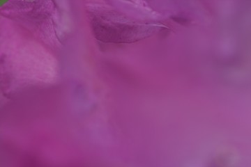 Plakat fioletowe tło