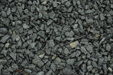 stein 4
