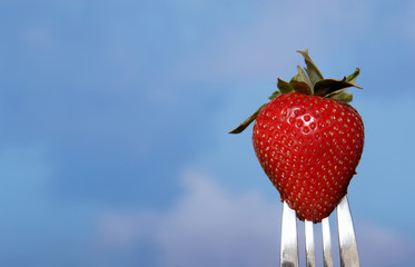 strawberry on fork against blue sky