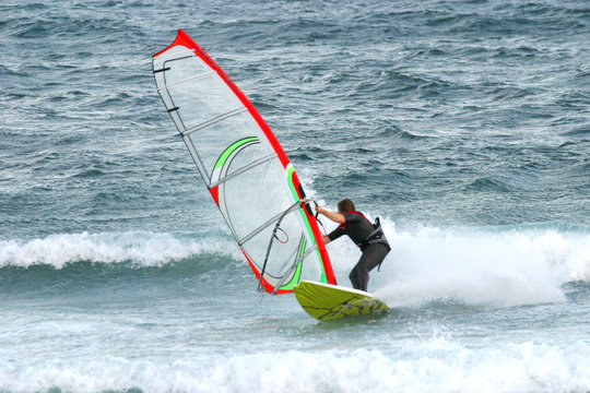 windsurfer