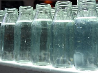 closeup of empty milk bottles