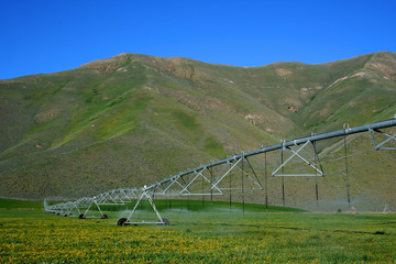 irrigation 2