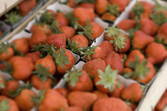 strawberries in a basket