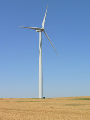 wind power generator