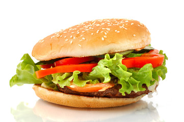 big hamburger side view isolated