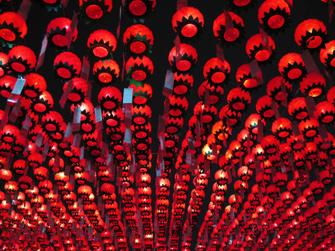 Lotus Lanterns On Buddha's Birthday, Korea