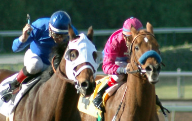 race horses & jockeys