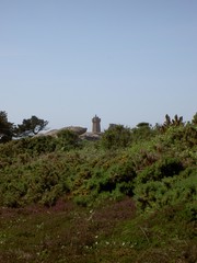 phare de ploumanach en bruyere